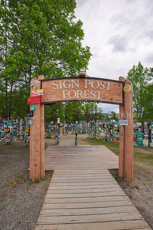 Sign Post Forest，育空，加拿大